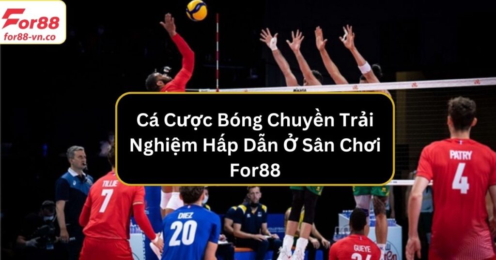 Cá Cược Bóng Chuyền Trải Nghiệm Hấp Dẫn Ở Sân Chơi For88 1 ca cuoc bong chuyen