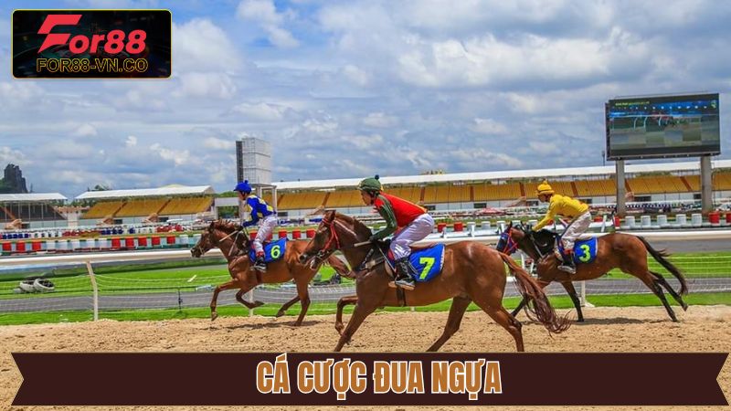 Cá Cược Đua Ngựa - Nơi Hội Tụ Niềm Đam Mê Và Cơ Hội Đổi Đời 1 Cá Cược Đua Ngựa - Nơi Hội Tụ Niềm Đam Mê Và Cơ Hội Đổi Đời