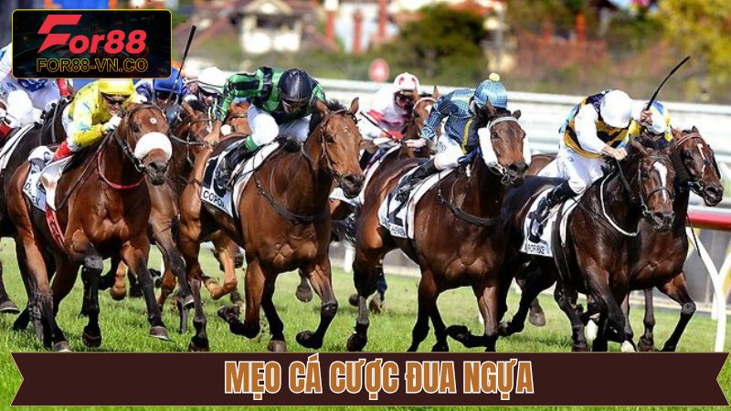 Cá Cược Đua Ngựa - Nơi Hội Tụ Niềm Đam Mê Và Cơ Hội Đổi Đời 4 Kinh nghiệm cá độ đua ngựa chuẩn xác cho tân thủ