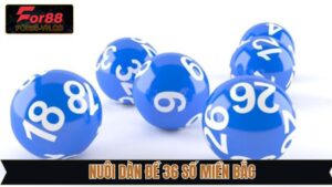 Kinh Nghiệm Nuôi Dàn Đề 36 Số Miền Bắc Bất Bại Tại For88
