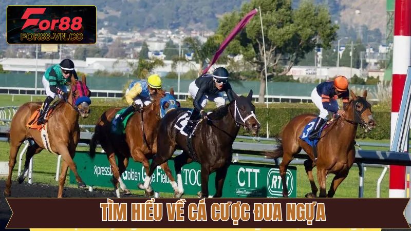 Cá Cược Đua Ngựa - Nơi Hội Tụ Niềm Đam Mê Và Cơ Hội Đổi Đời 2 Đôi nét về cá độ đua ngựa kịch tính