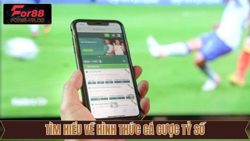 Nét chính về sức hút của cá cược tỷ số