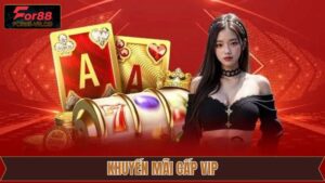 Khuyến Mãi Cấp VIP - Ưu Đãi Cuốn Hút Cho Hội Viên Tại For88